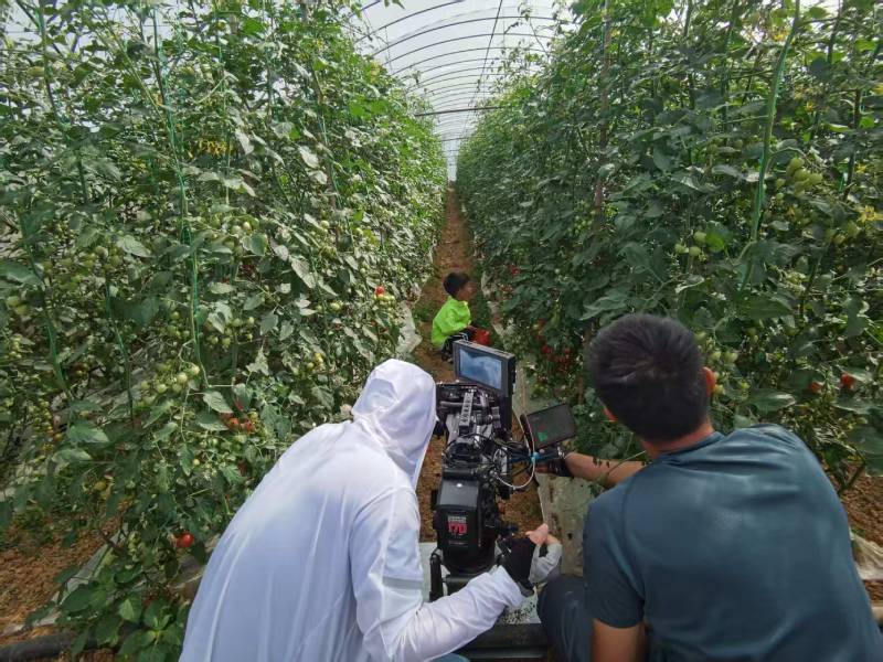 产品视频拍摄公司